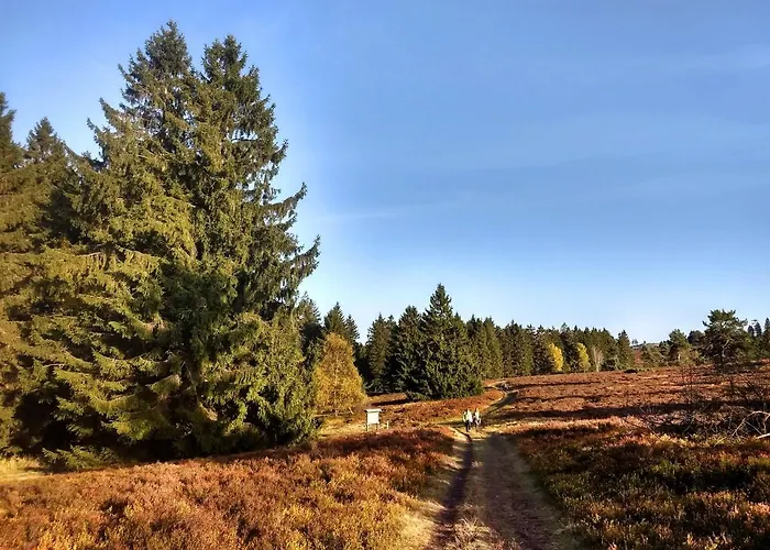 Apartamento Hillebachsee *